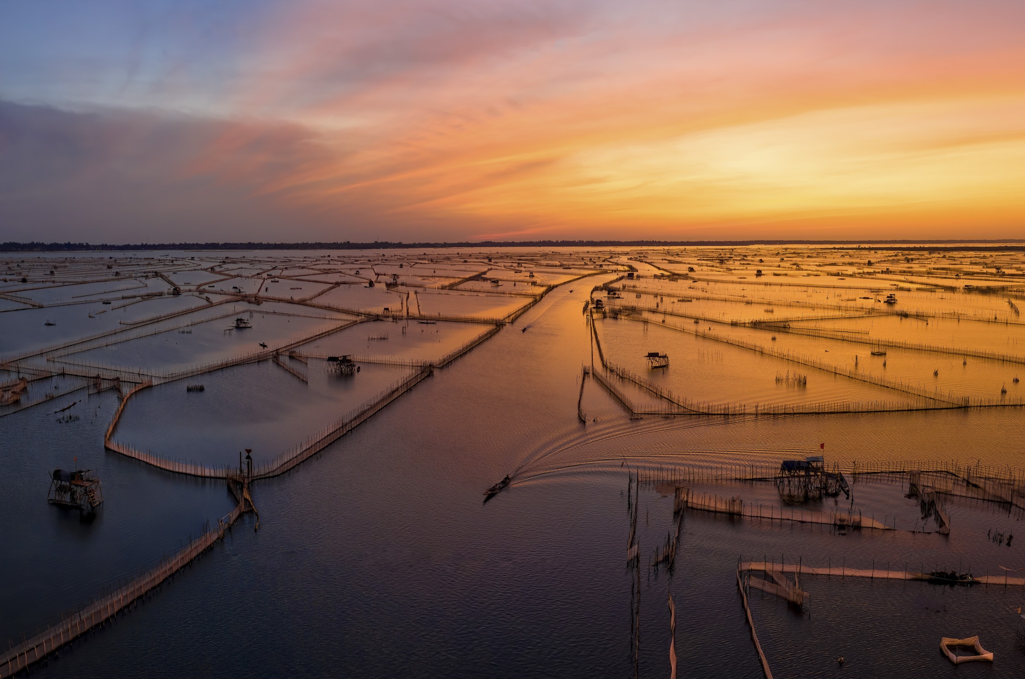 dam chuon o dau anh 12