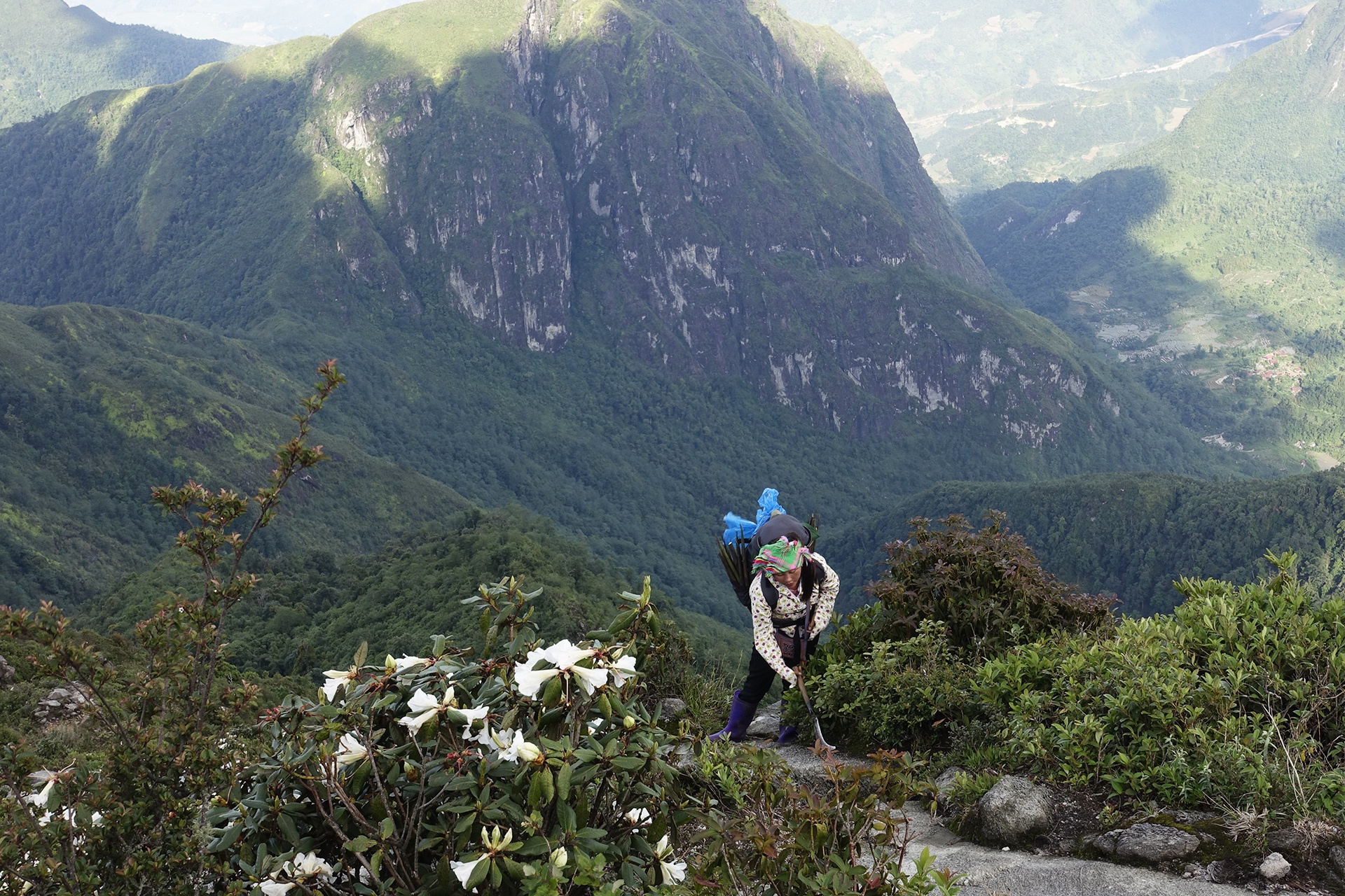 bach moc luong tu anh 14