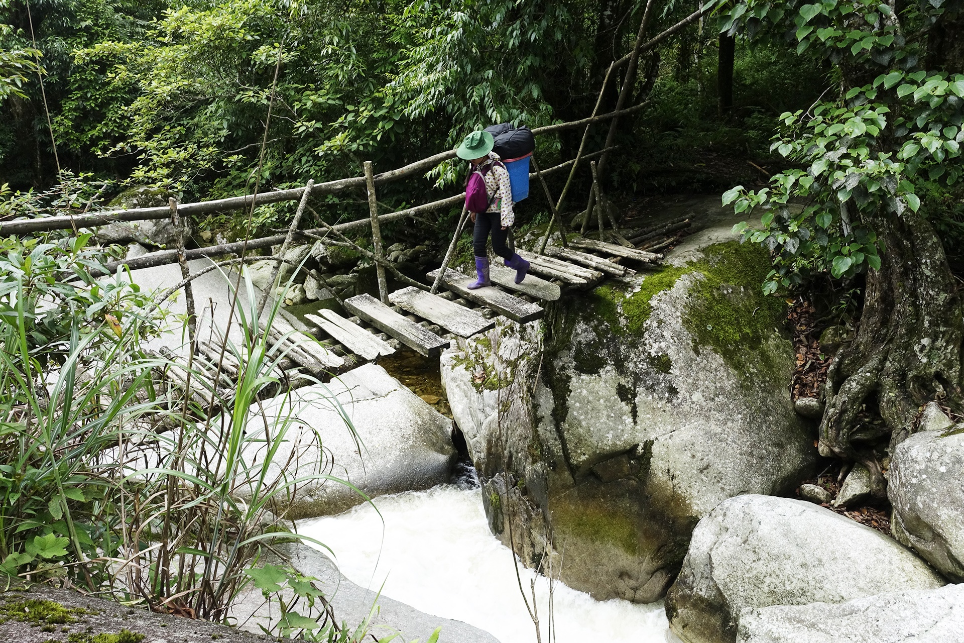 bach moc luong tu anh 12