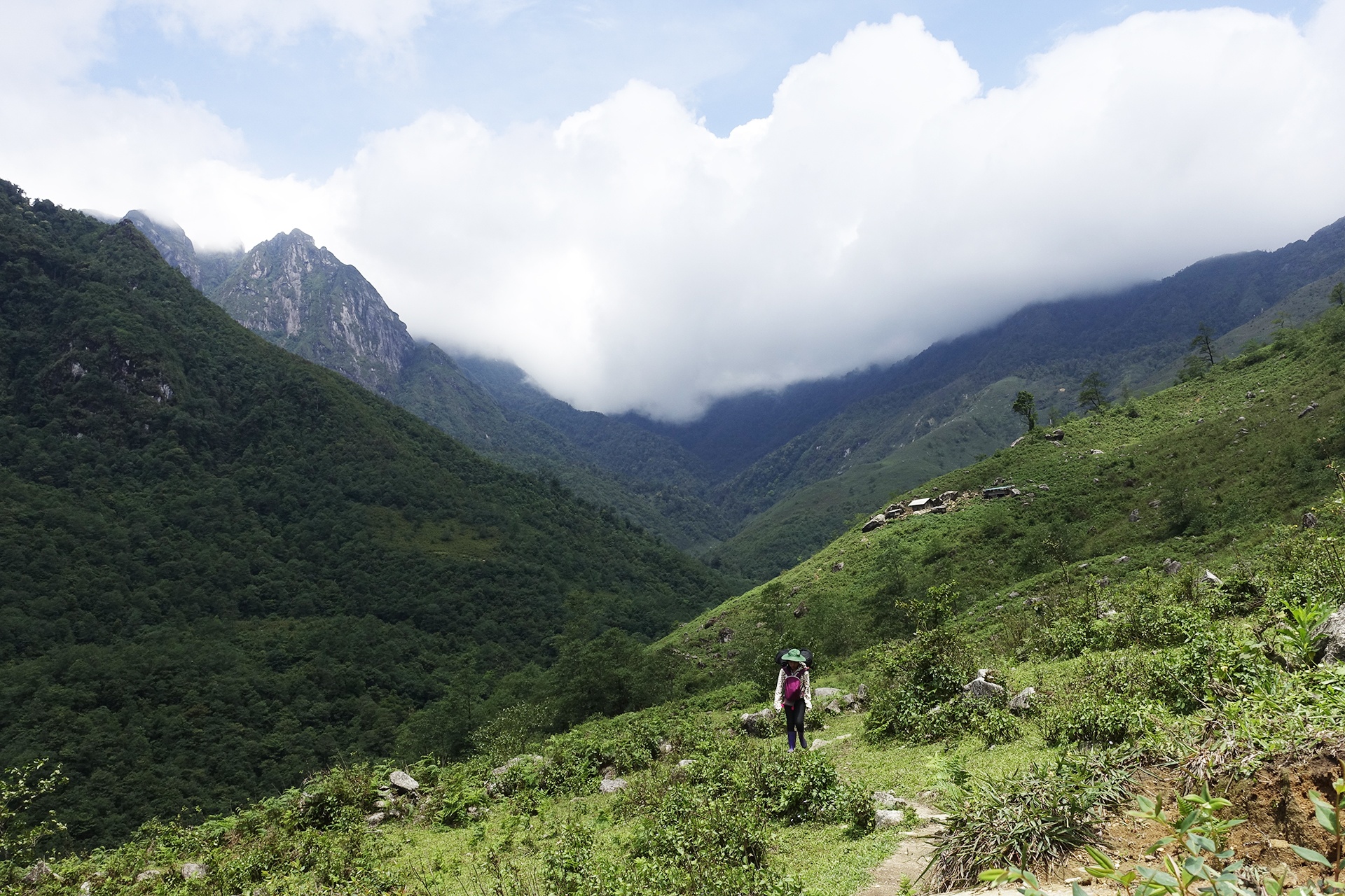 bach moc luong tu anh 2