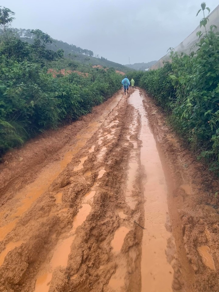 mưa lũ ở đà lạt ảnh 3 mua lu o da lat anh 3