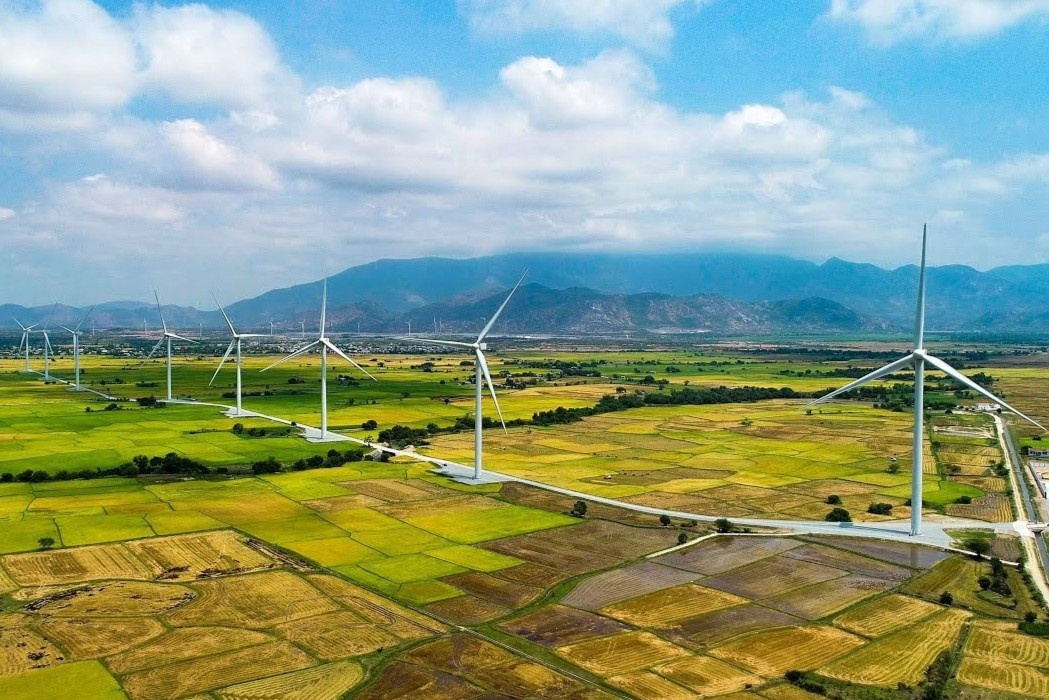 Canh dong quat gio dep nhu troi Tay o Ninh Thuan nhin tu tren cao hinh anh