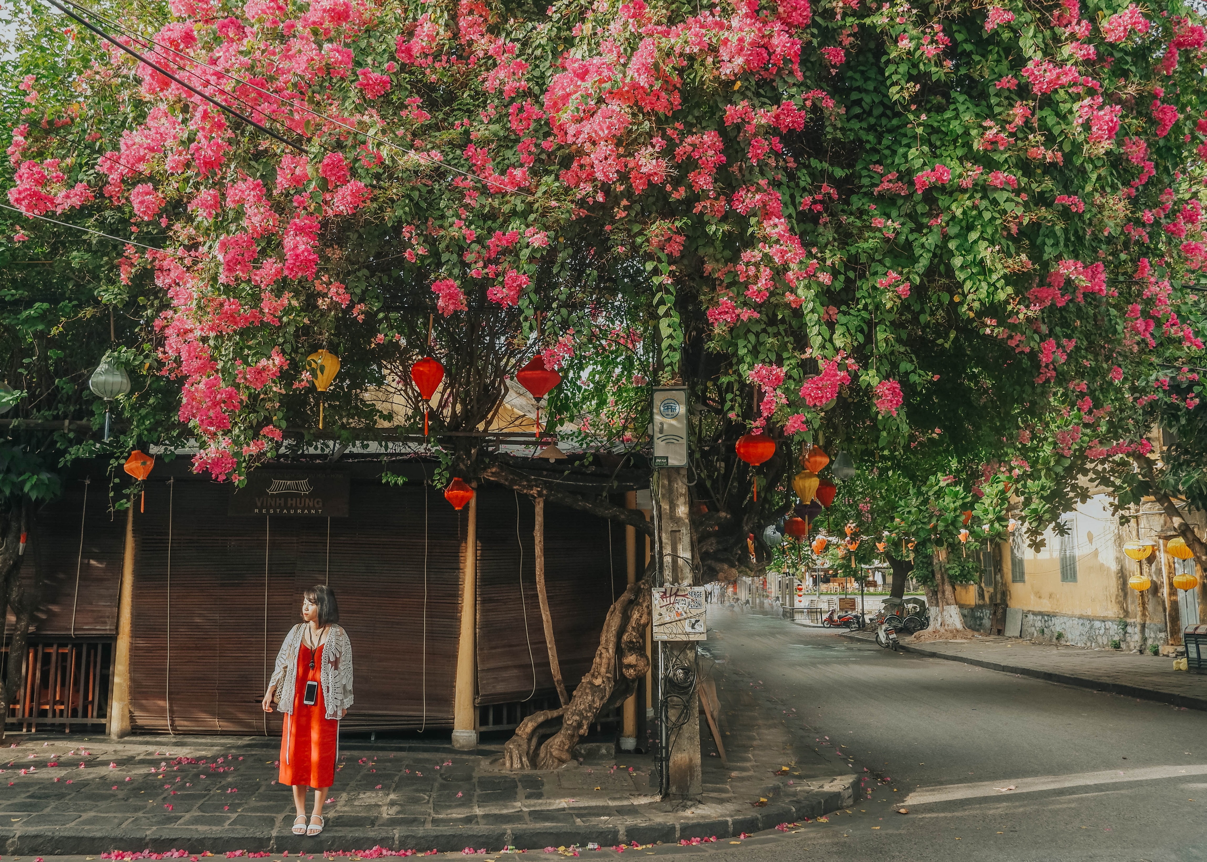 Lang thang nhung goc song ao la khi den Hoi An hinh anh