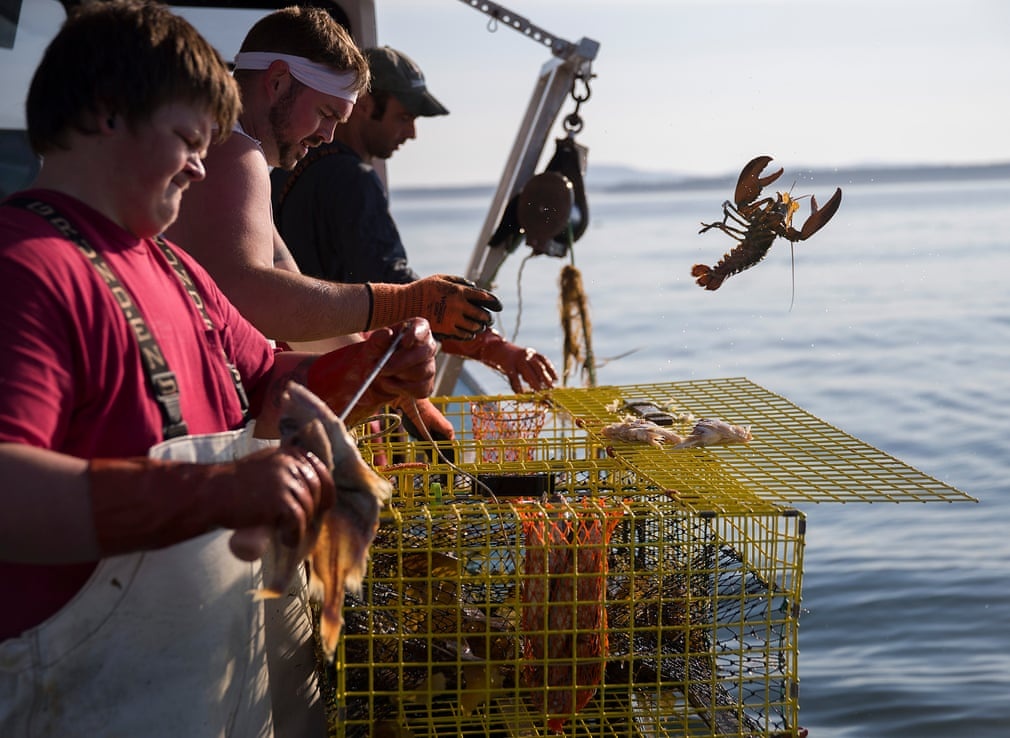 bien doi khi hau anh 7