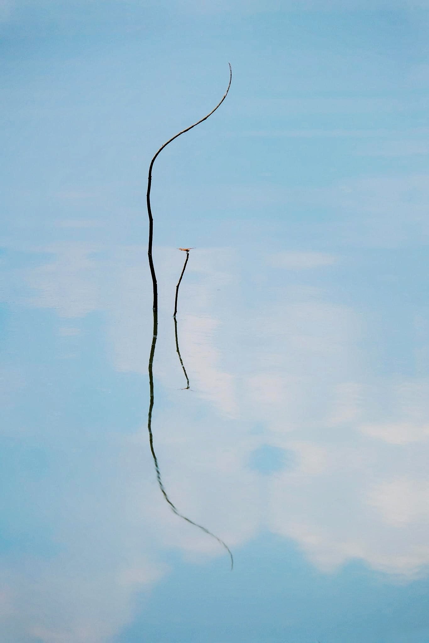 nhiếp ảnh tối giản ảnh 7 nhiep anh toi gian anh 7