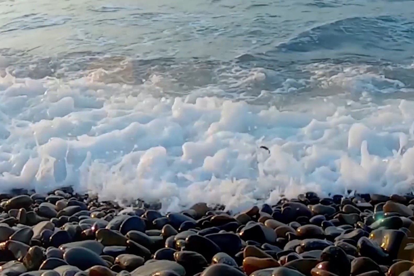 Bai da 7 mau noi tieng bac nhat Viet Nam hinh anh