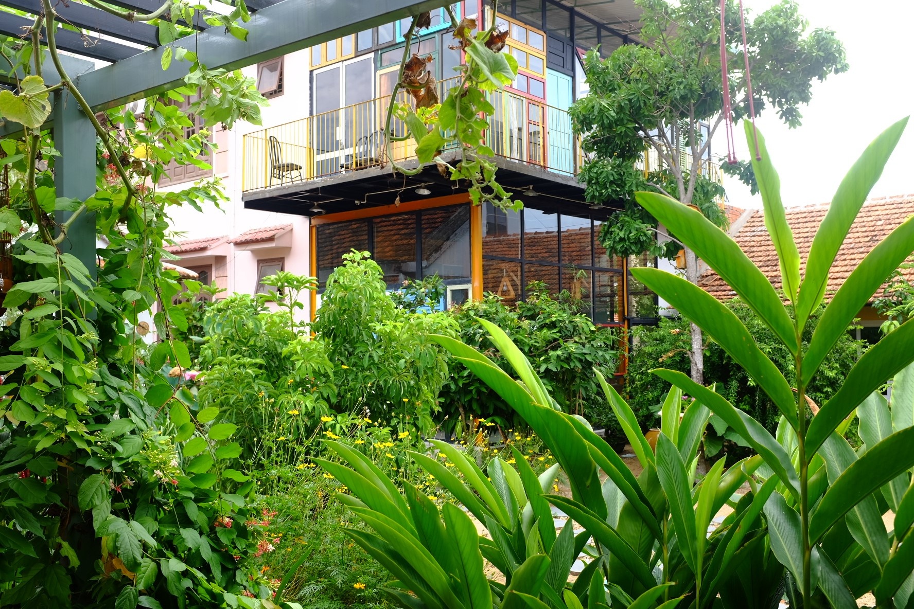 du lịch phú yên ảnh 9 du lich phu yen anh 9