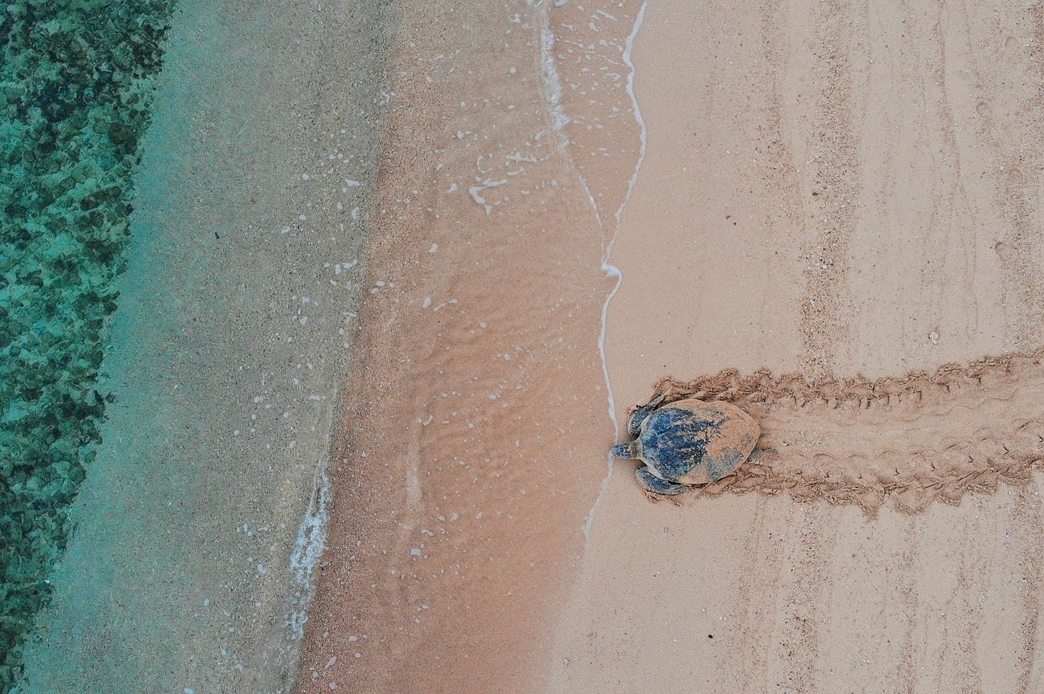 xem rua de trung o con dao anh 4