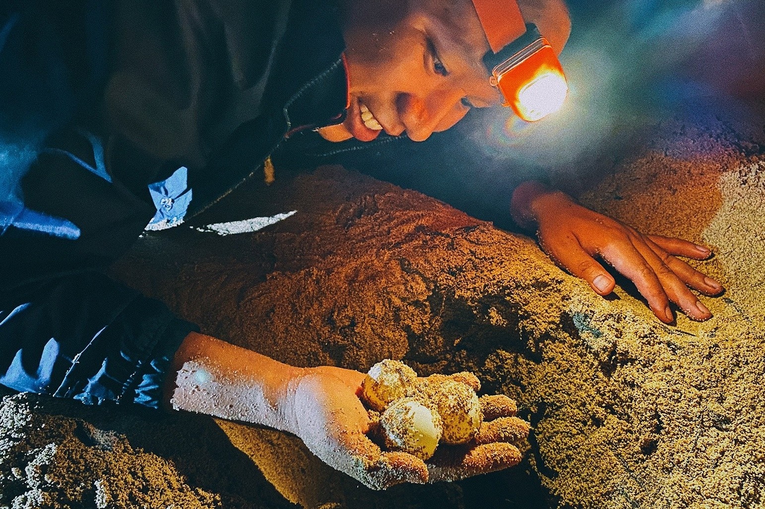 Dao trung de ho tong rua con ve bien o Con Dao hinh anh