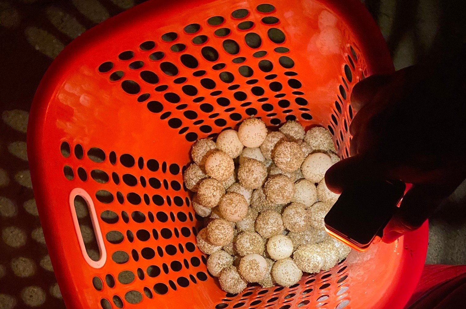 xem rua de trung o con dao anh 8