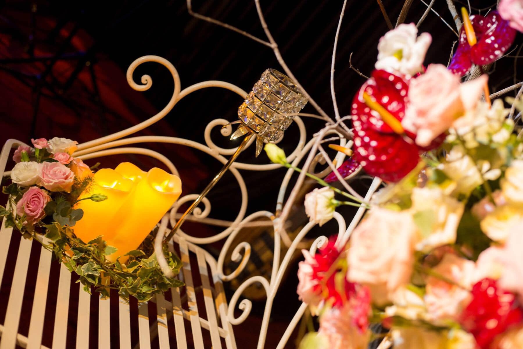 phong tra da lat anh 2