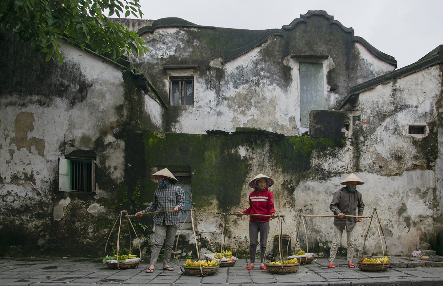 bức tường hội an ảnh 2 buc tuong hoi an anh 2