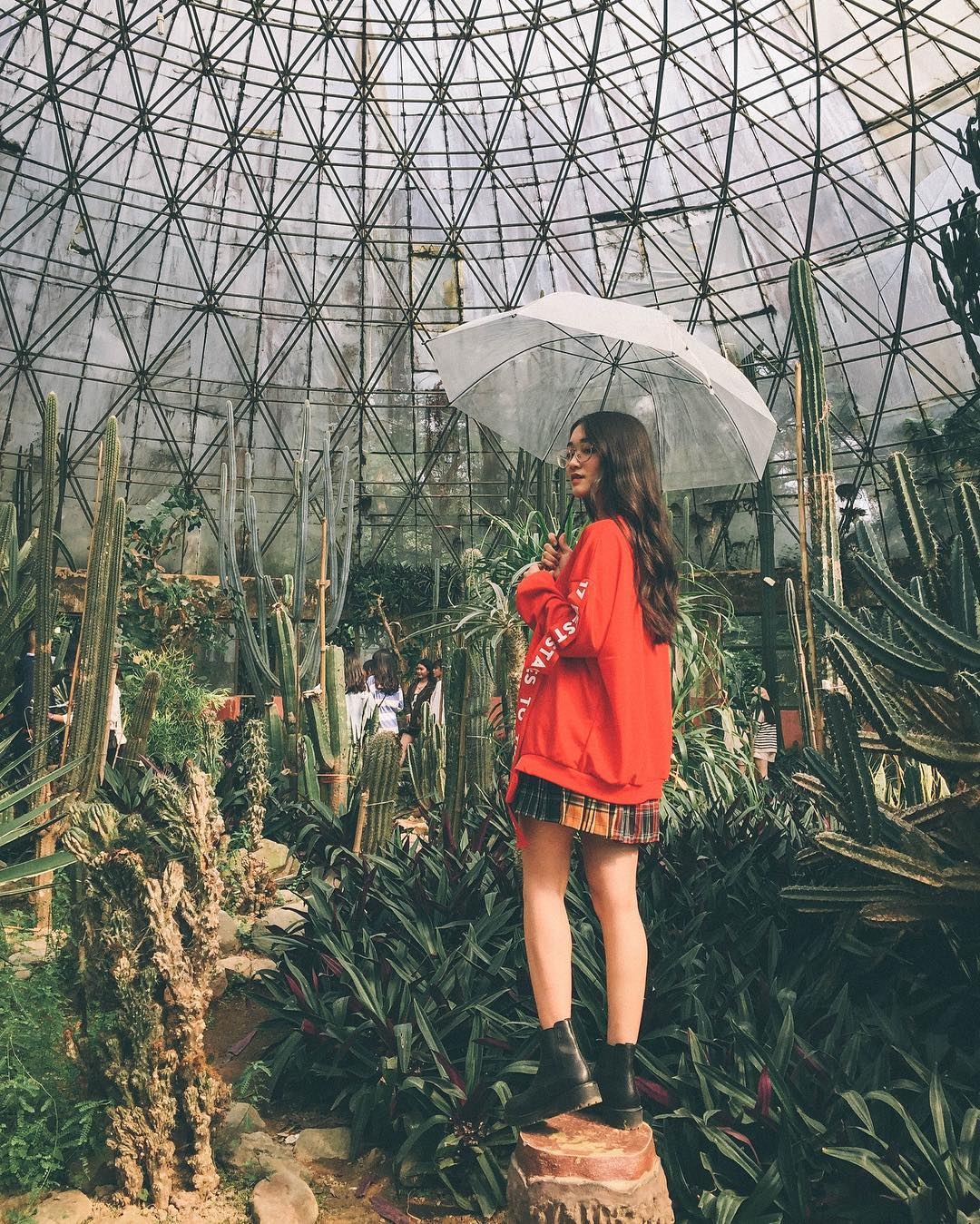 du lich gan ha noi anh 8