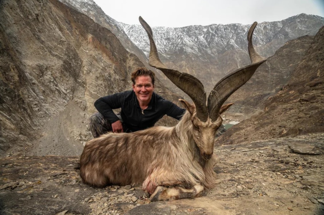 dê núi markhor ảnh 7 de nui markhor anh 7