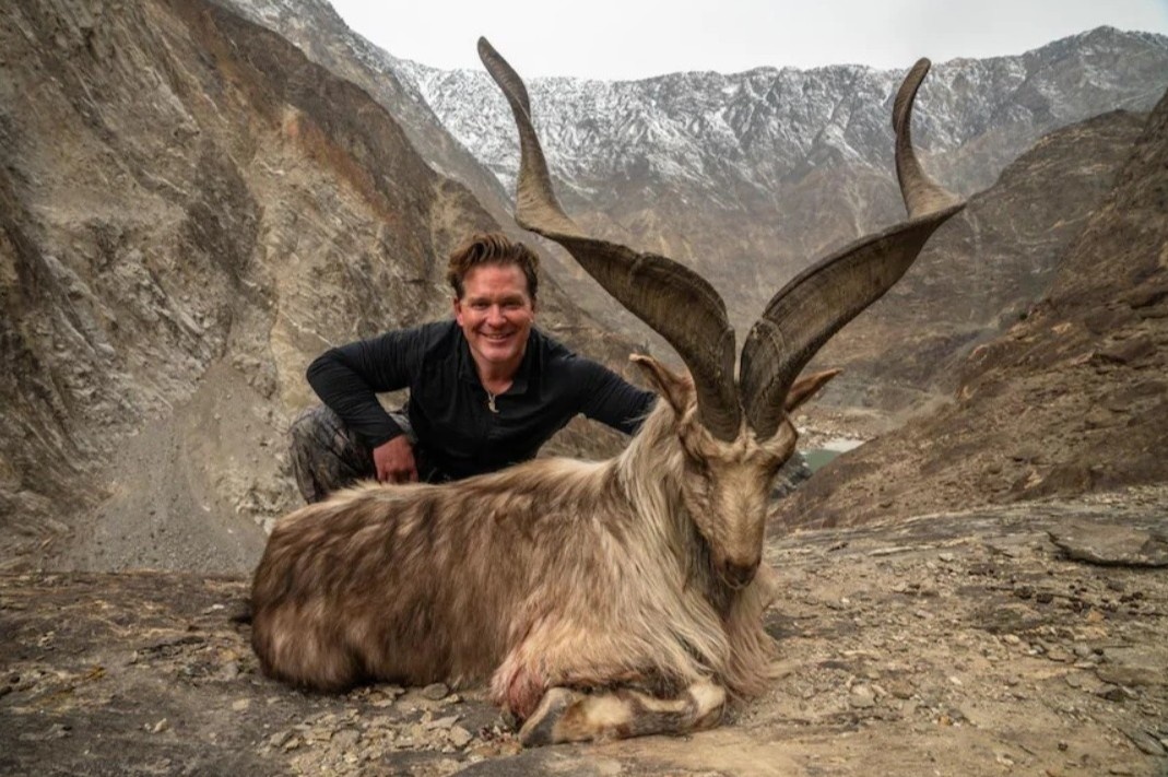 Loai son duong bieu tuong quoc gia, co cap sung nhu ran cuon hinh anh