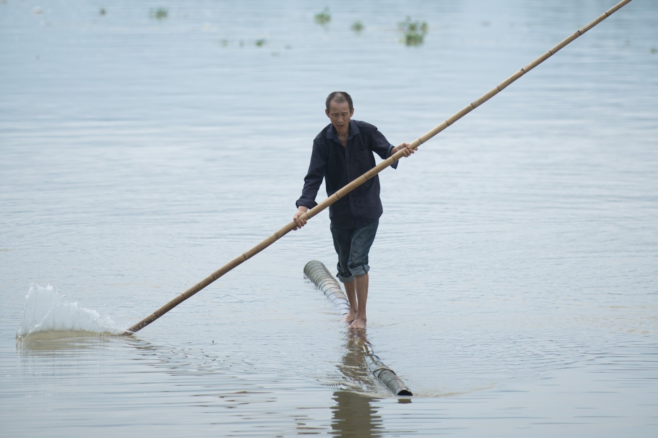 Nguoi dan ong di tren song o Trung Quoc hinh anh