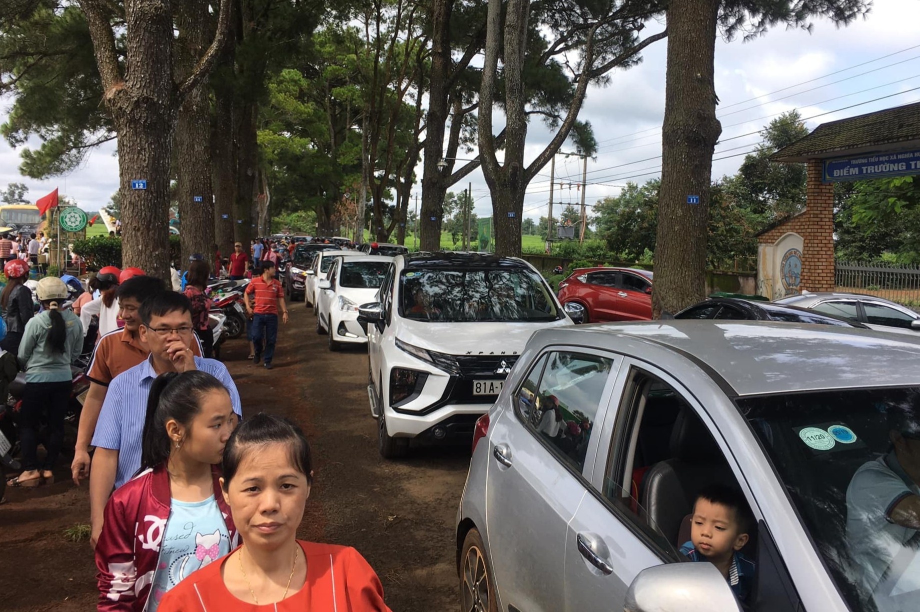 Hang thong tram tuoi o Gia Lai chat cung sang 2/9 hinh anh