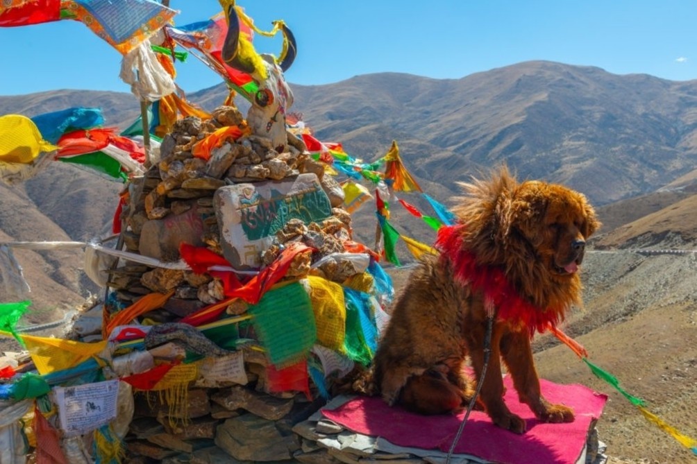 Trung Quoc hoan tat cong vien tren noc nha the gioi hinh anh