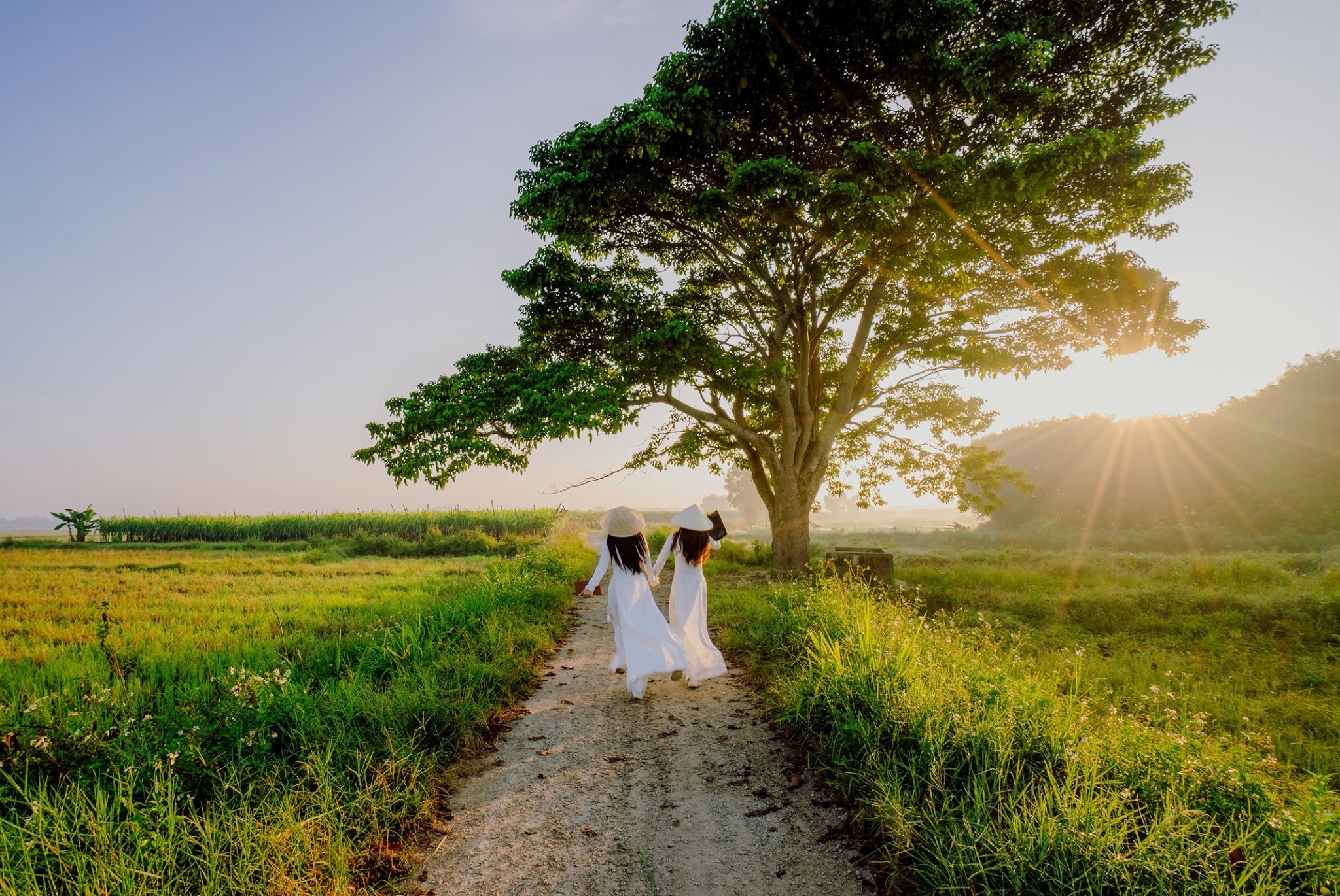 Hue ky vong don khach Nhat, Han dip cuoi nam hinh anh