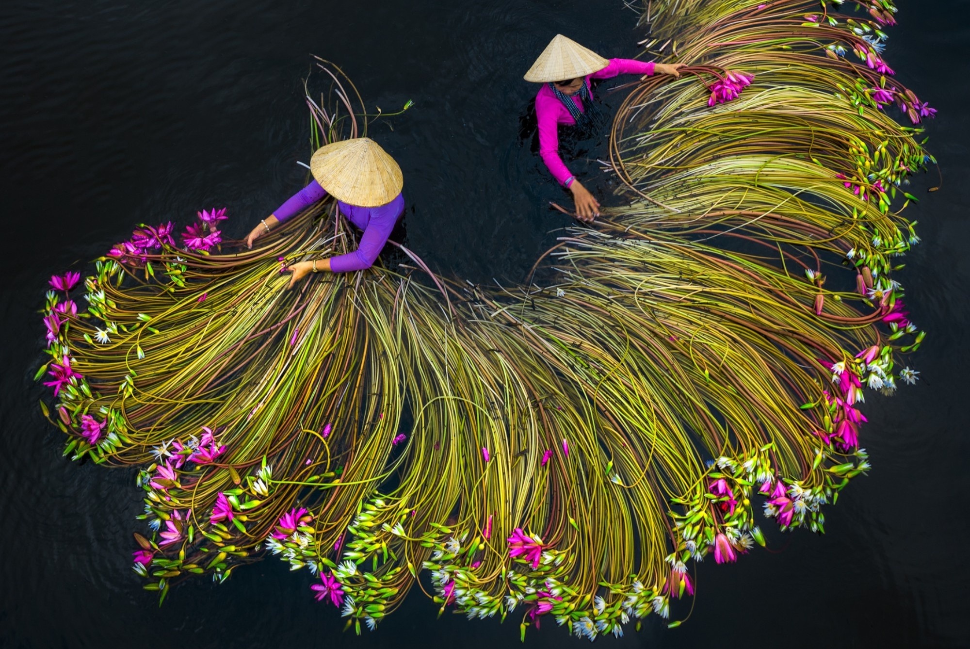 Canh Viet Nam vao top cuoc thi anh tren cao hinh anh