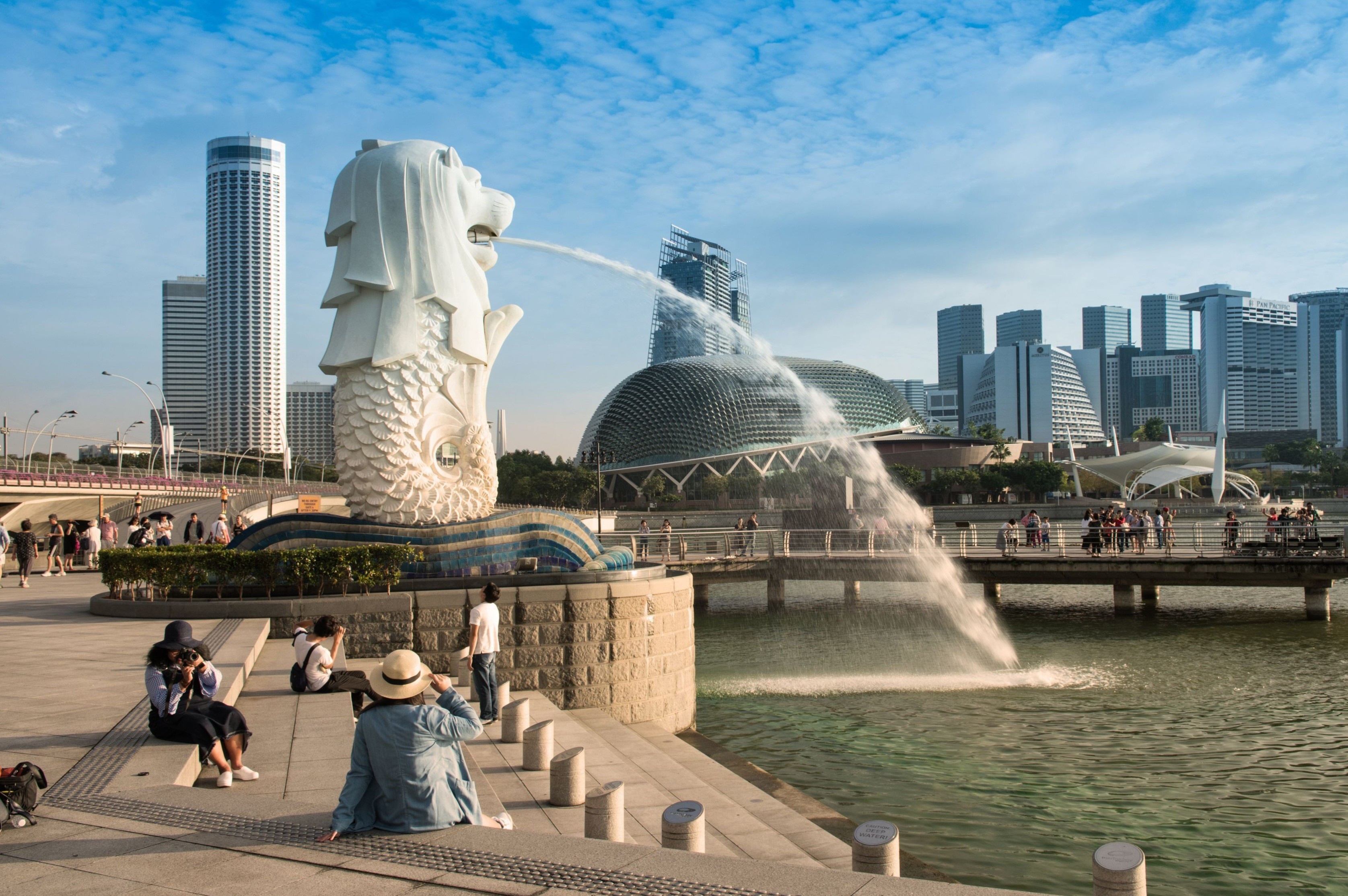 Singapore don khach Viet Nam tu 8/10 hinh anh