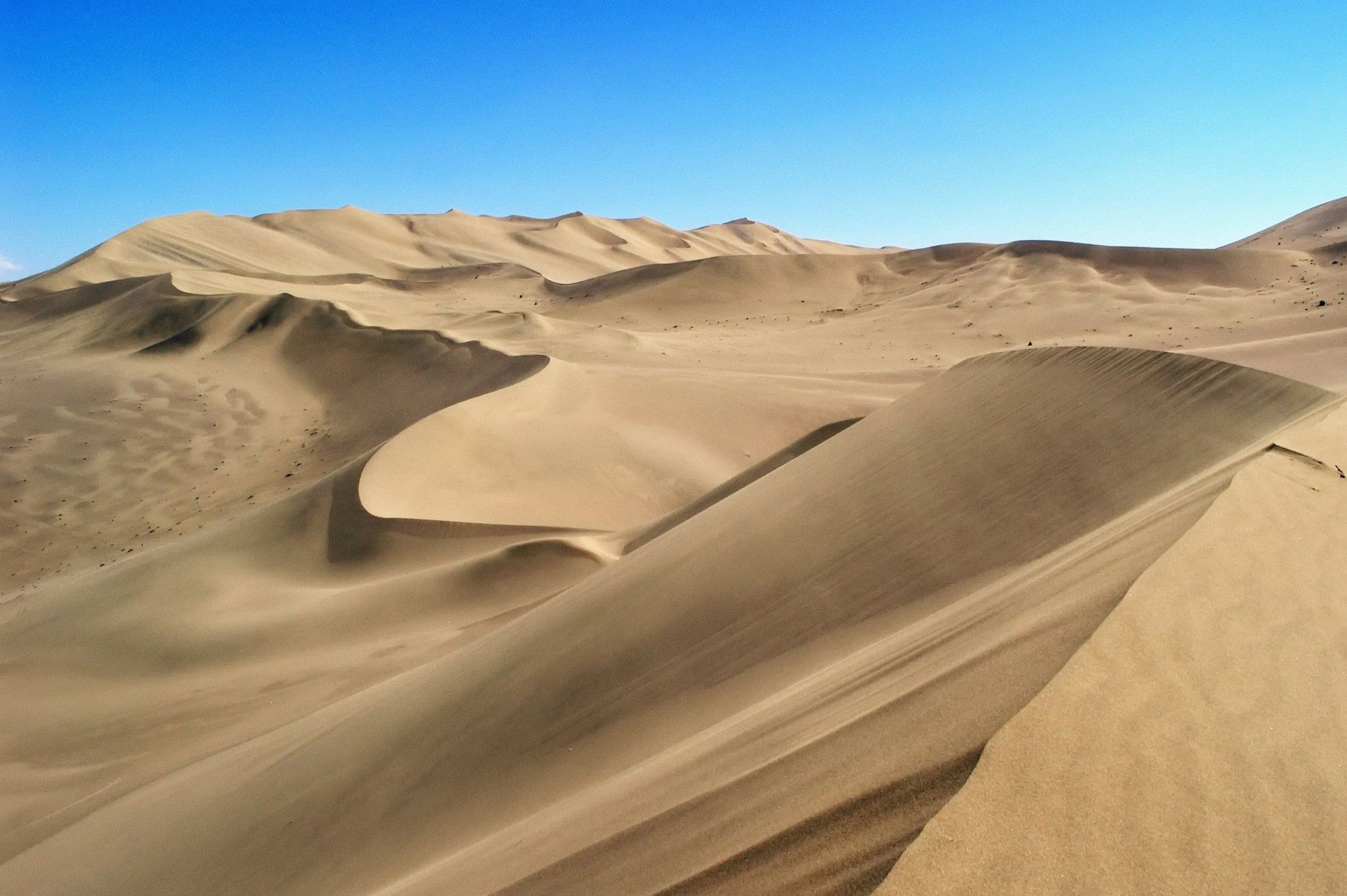 Sa mac de di kho ve o Trung Quoc hinh anh