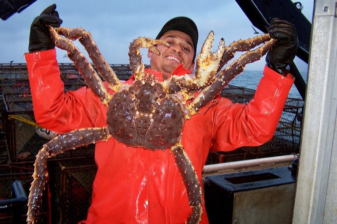 Nghe danh bat cua giua bao bien hinh anh