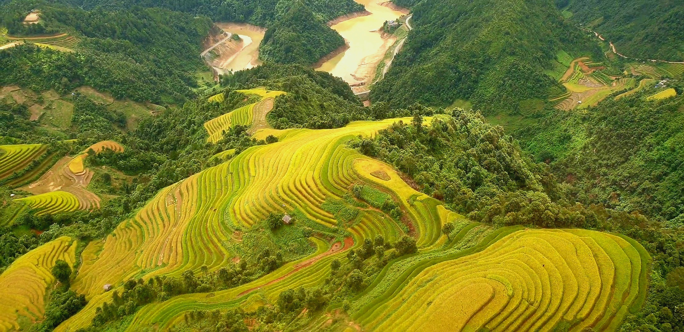 Co the bay truc thang ngam lua o Mu Cang Chai tu nam 2021 hinh anh