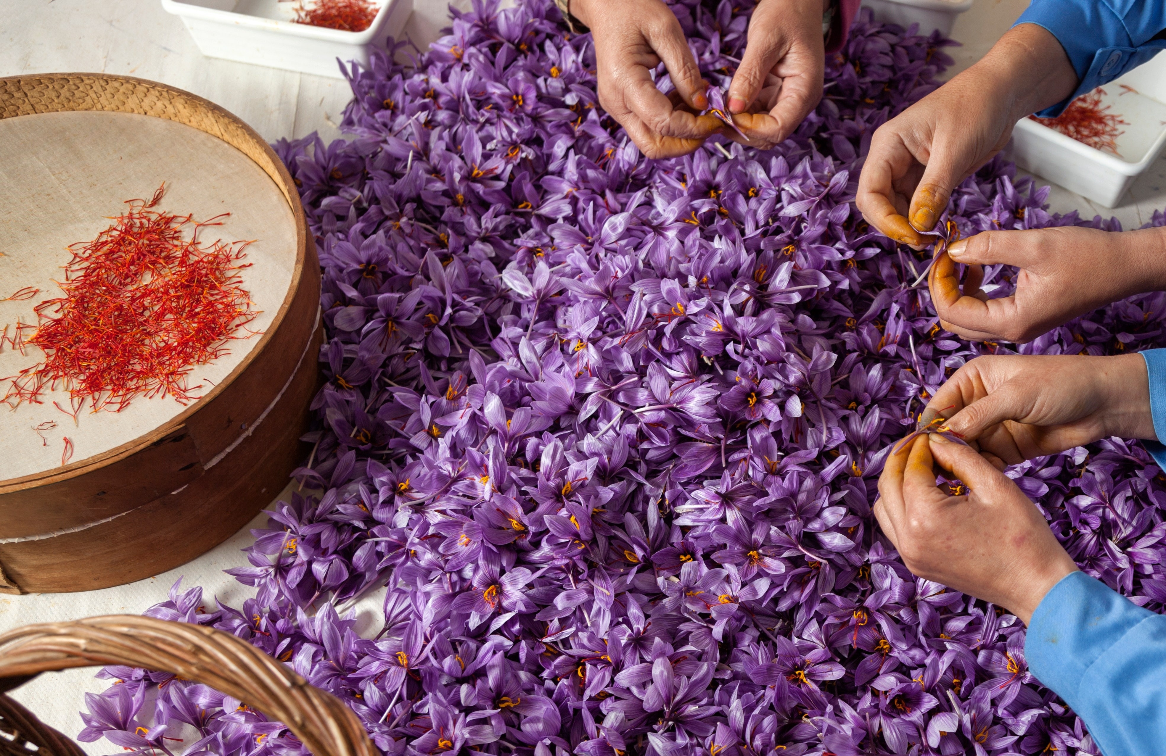 Dieu gi khien nhuy hoa dat hon vang? hinh anh