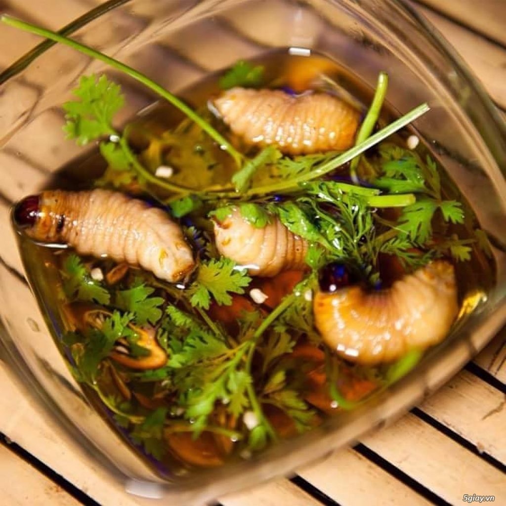 thit chuot viet nam anh 4