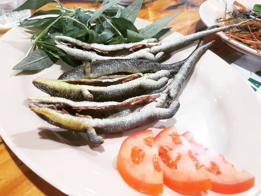 thit chuot viet nam anh 2