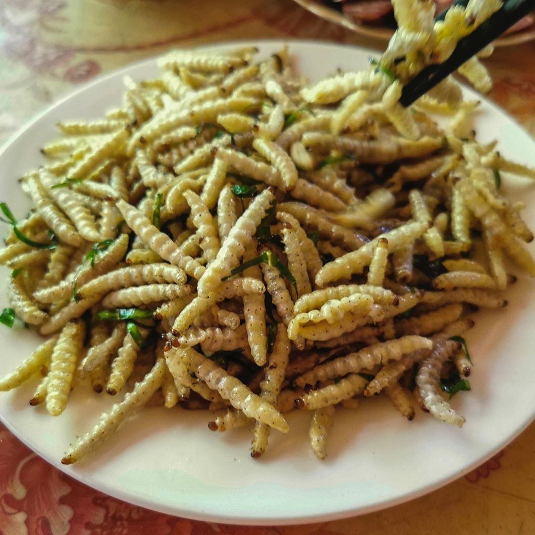 thit chuot viet nam anh 7