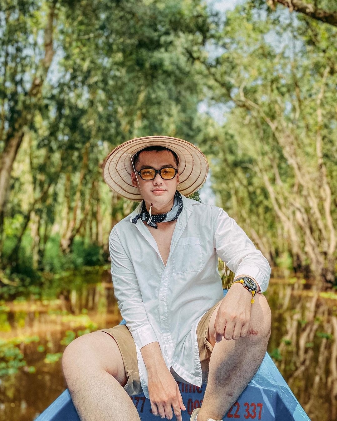 rừng thông đẹp ảnh 12 rung thong dep anh 12