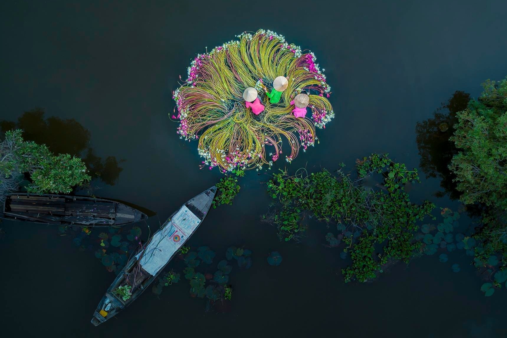 Viet Nam an toan va binh yen tren song truyen hinh My hinh anh