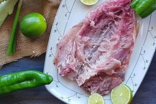 Loai ca uop muoi co the gay chet nguoi hinh anh