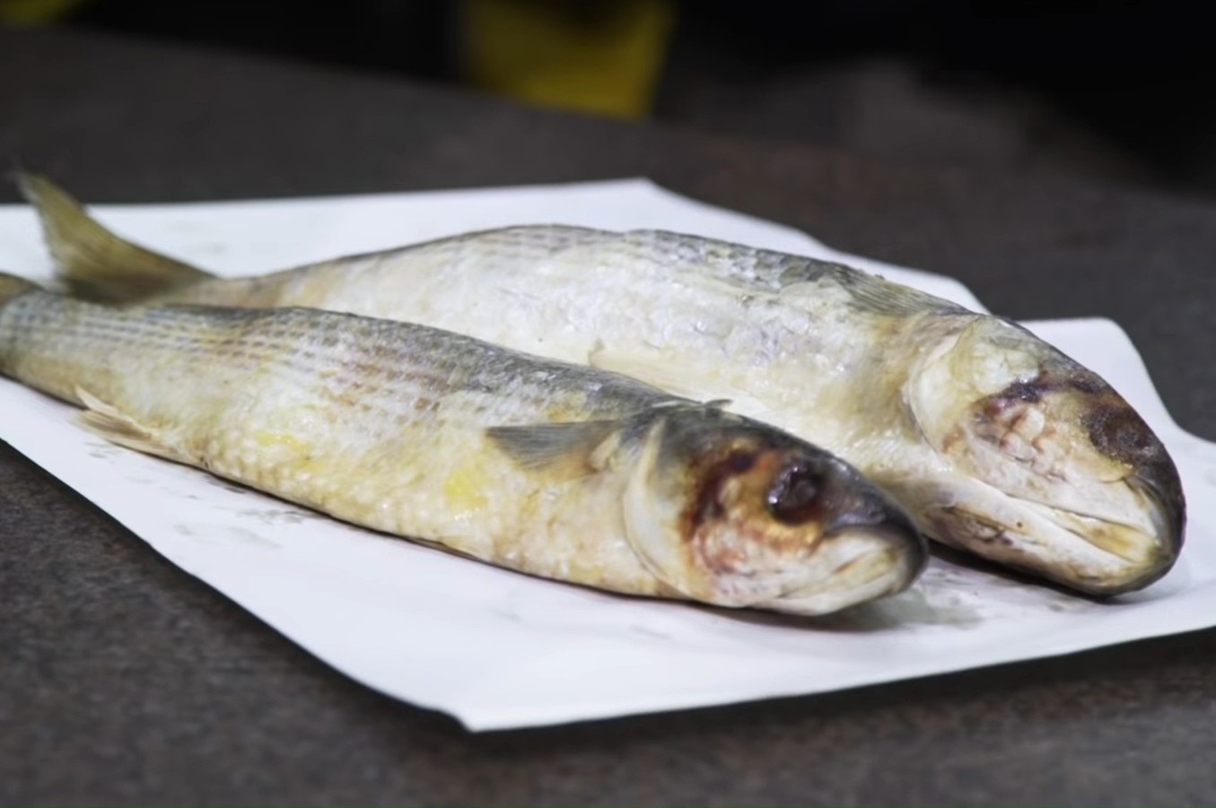 ca muoi ai cap anh 6