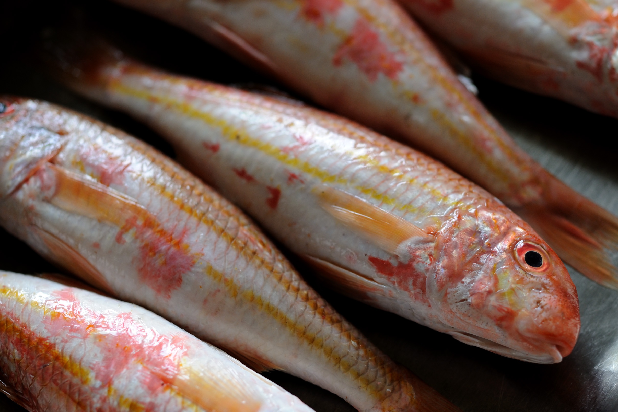 ca muoi ai cap anh 1