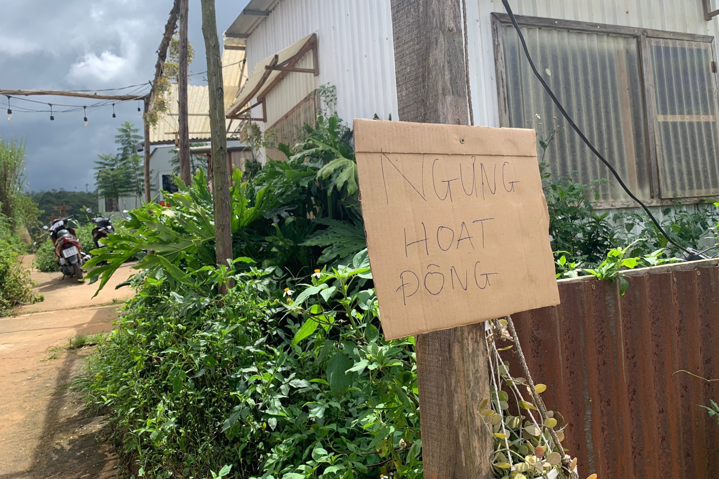 Dong cua homestay o Da Lat dinh lum xum lua dao hinh anh