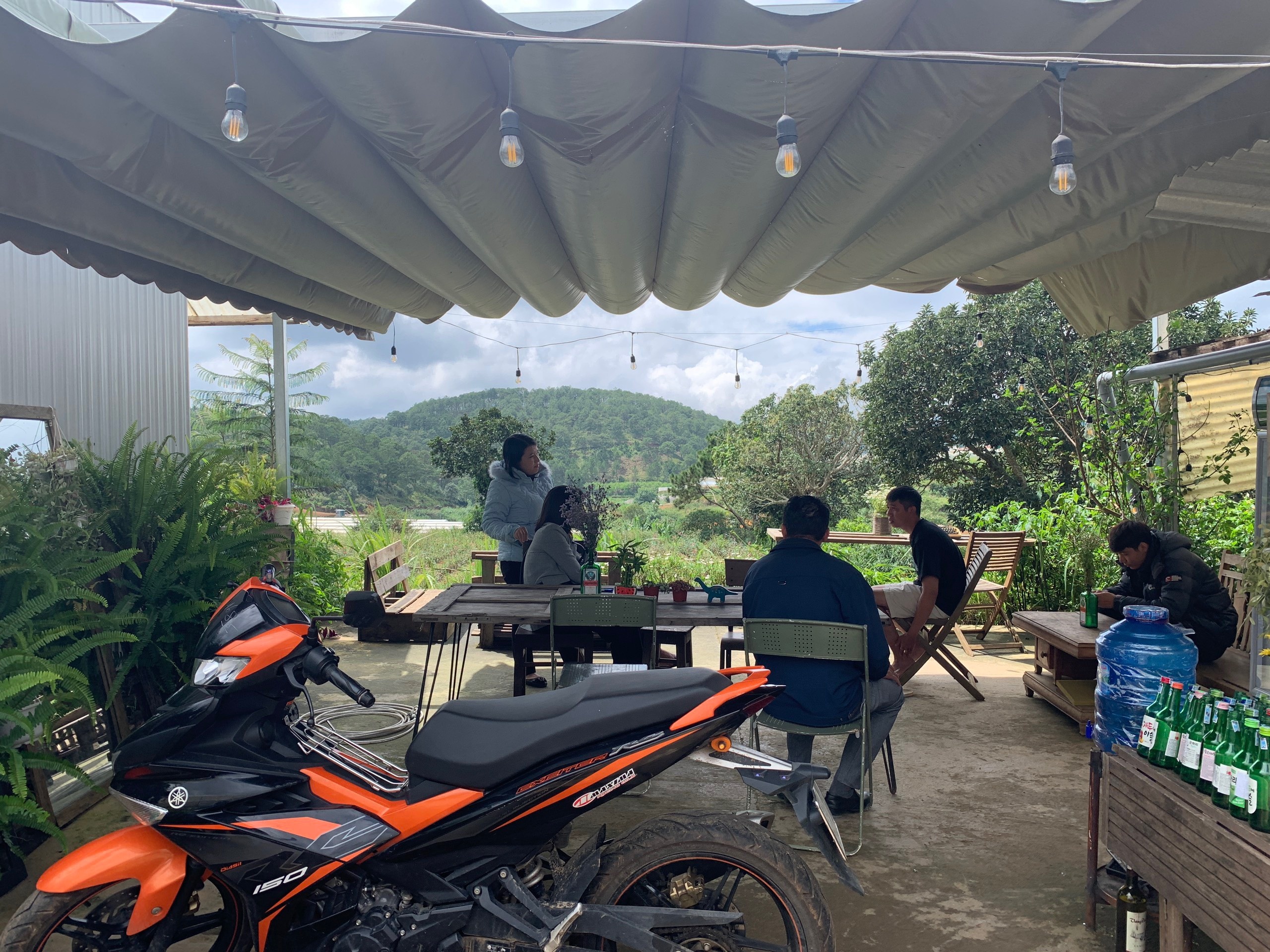 homestay đà lạt lừa đảo ảnh 1 homestay da lat lua dao anh 1