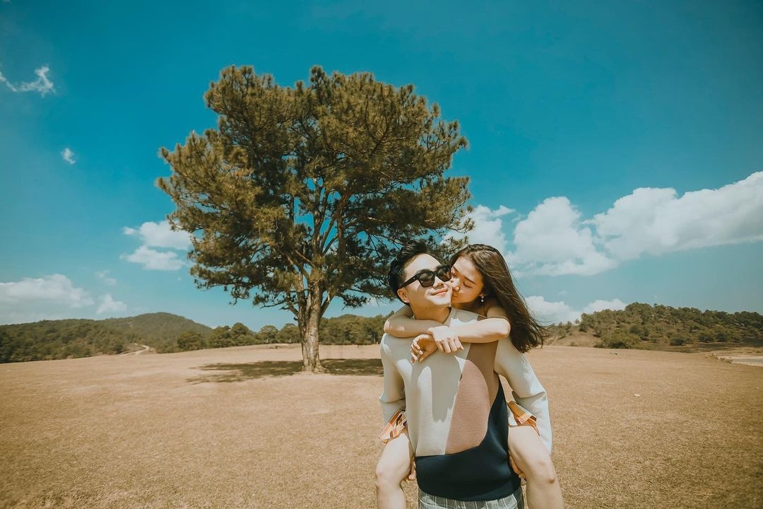 cay co don gay do anh 3