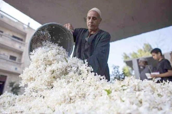 Ngoi lang duoc menh danh la xu so nuoc hoa hinh anh