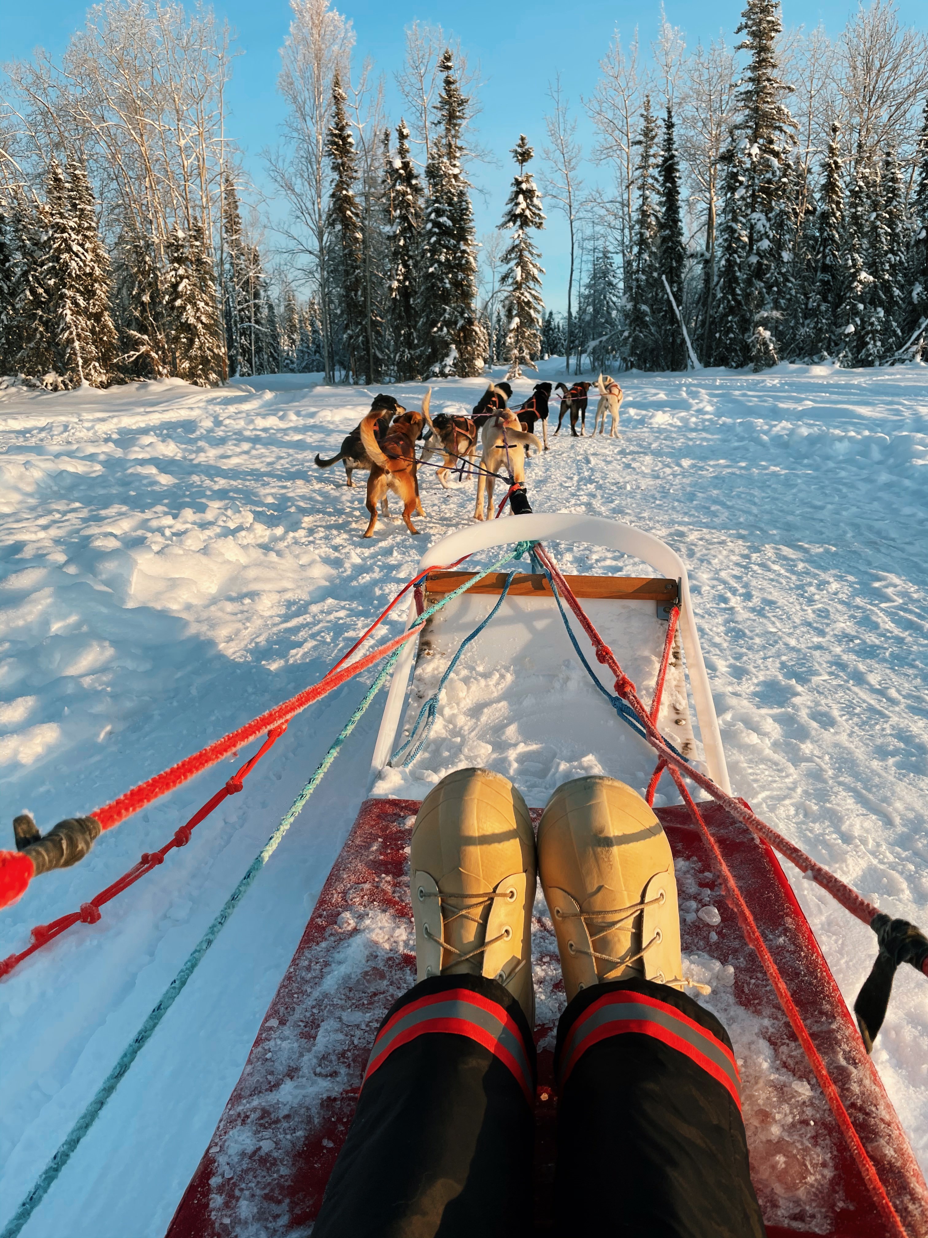 du lịch alaska ảnh 12 du lich alaska anh 12