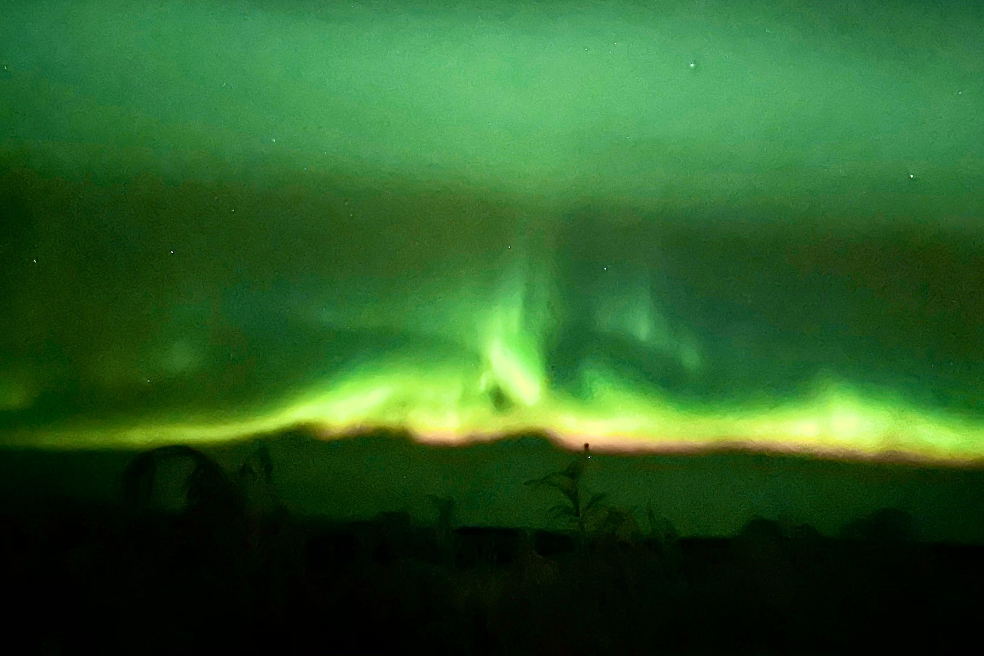 du lich alaska anh 10