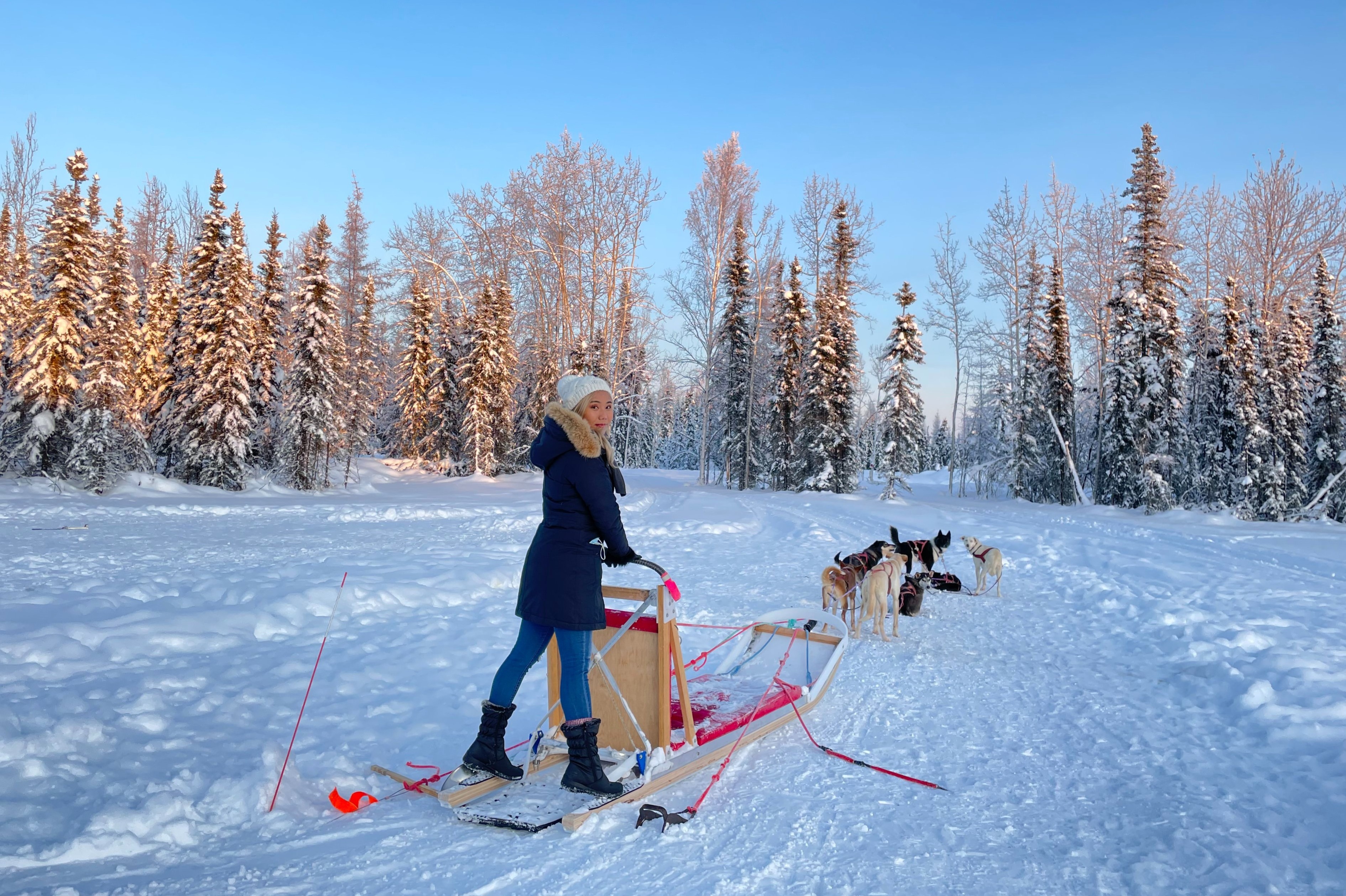 du lich alaska anh 11