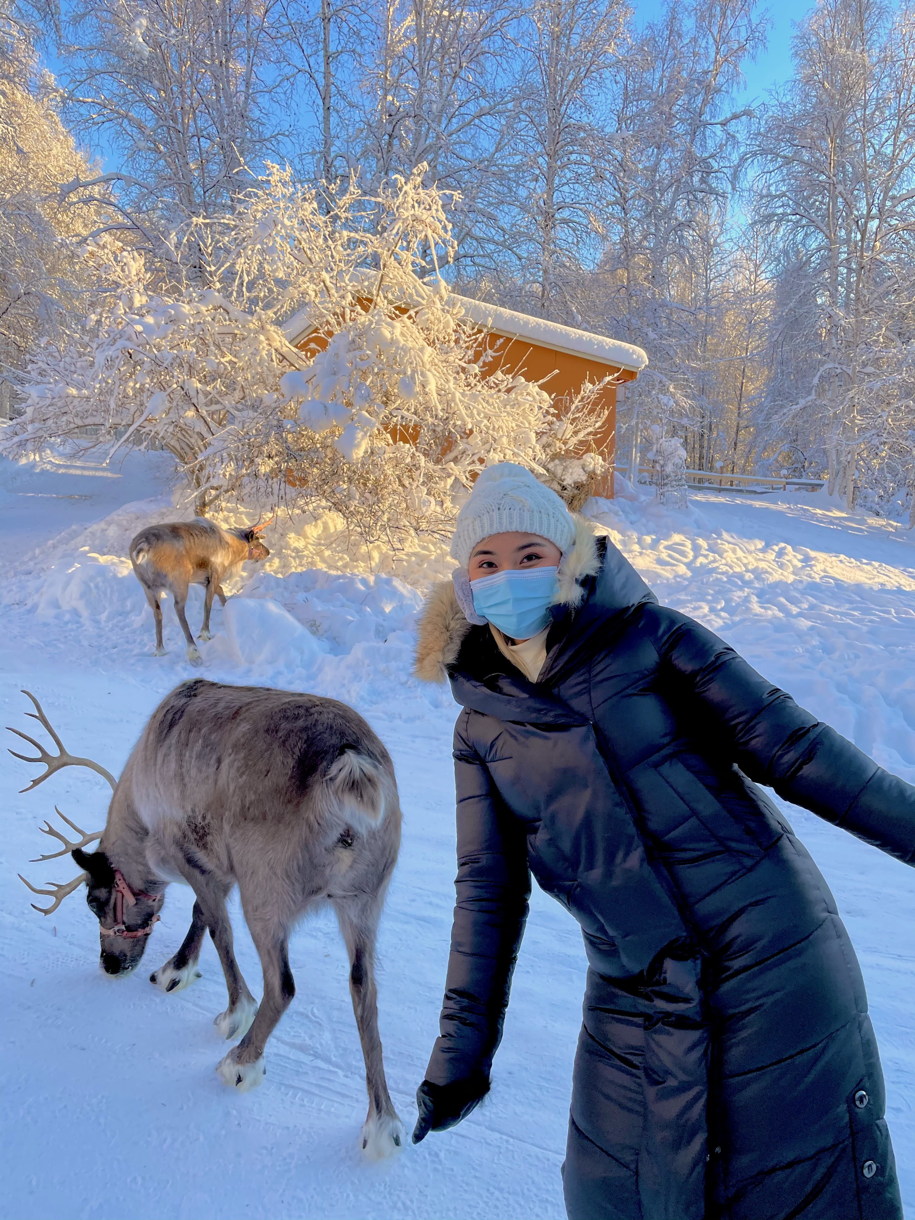 du lịch alaska ảnh 14 du lich alaska anh 14