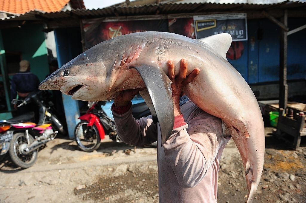 Quan ban cha ca map suot 29 nam hinh anh