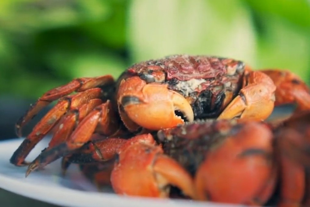 Thuong thuc ba khia rang muoi o Ca Mau hinh anh