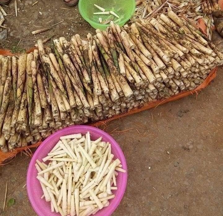 banh chung den anh 3