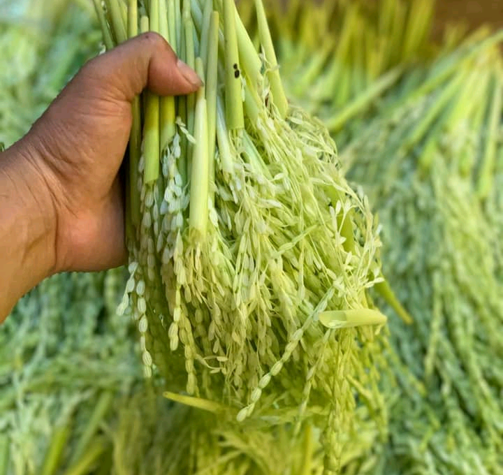 banh chung den anh 2