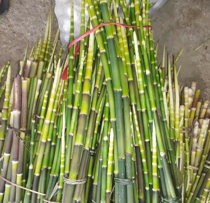 banh chung den anh 1